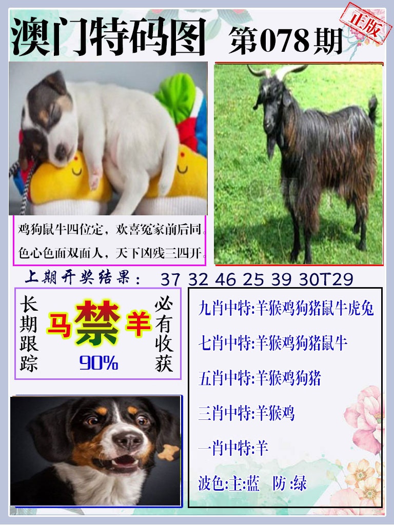 078期特码图[图]